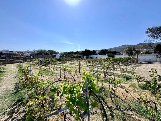 458400272_527111639929412_7196495826600171134_n