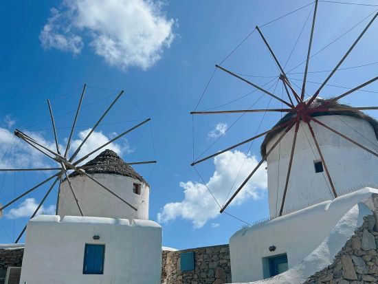 ミコノス島の名所を散策＆農場訪問ツアー リトルベニスや風車など＜約6時間／英語／ミコノス島発＞