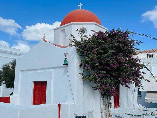 ミコノス島の名所を散策＆農場訪問ツアー リトルベニスや風車など＜約6時間／英語／ミコノス島発＞
