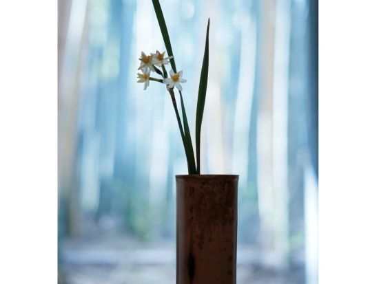 竹の名産地で学ぶ竹細工 茶杓 or 一輪挿しを製作＜2～3時間／京都府長岡京市＞