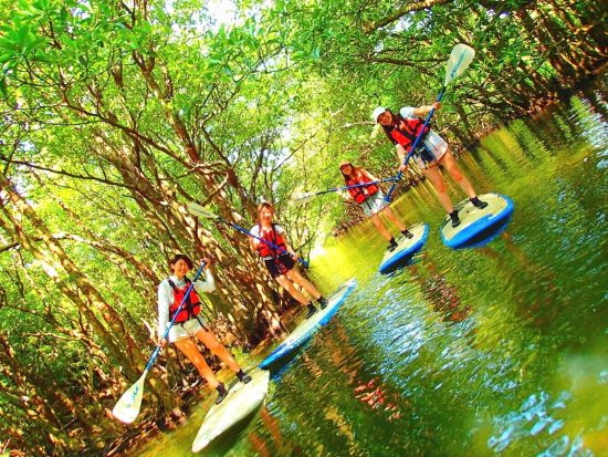 西表島マングローブカヌー or SUP ＆ 鍾乳洞探検ケイビング 秘境ジャングルで大冒険！島旅アドベンチャータイム＜送迎可／約5時間30分＞