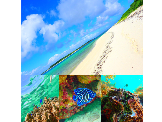 ファイル_001(23)