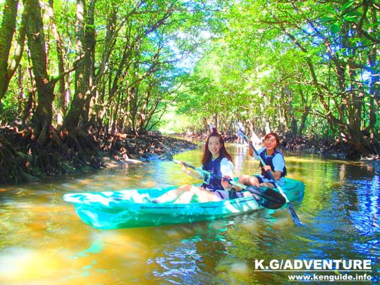 西表島マングローブカヌー or SUP ＆ 由布島観光 マングローブ探検と水牛車でのんびり島旅 特別な癒しのひとときを＜一部地域島内送迎あり／約5時間30分＞