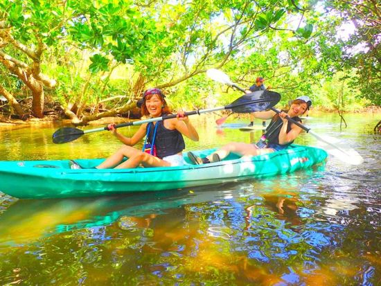 西表島マングローブカヌー or SUP ＆ ゲータの滝トレッキング 初心者も安心のプロガイド案内！秘境の大自然を満喫◎＜送迎可／約5時間30分＞