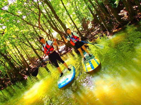 西表島マングローブカヌー or SUP ＆ ゲータの滝トレッキング 初心者も安心のプロガイド案内！秘境の大自然を満喫◎＜送迎可／約5時間30分＞