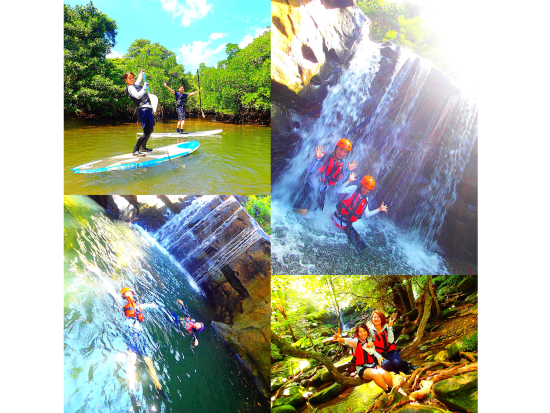 西表島マングローブカヌー or SUP ＆ キャニオニング滝壷ダイブ マングローブ探検と滝遊びで爽快アクティビティ！＜送迎可／約5時間30分／5月～10月＞
