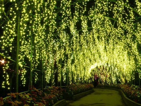 東京発バスツアー ひたち海浜公園で青い絨毯に包まれた絶景・ネモフィラ鑑賞＆ライトアップされた大藤棚を眺めるあしかがフラワーパーク花巡りプラン＜1名様から参加可＞