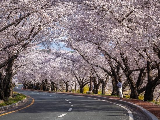 shutterstock_2558802103