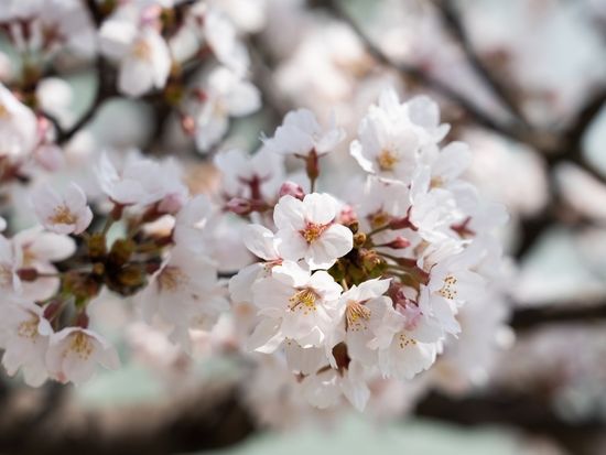 shutterstock_2325844927