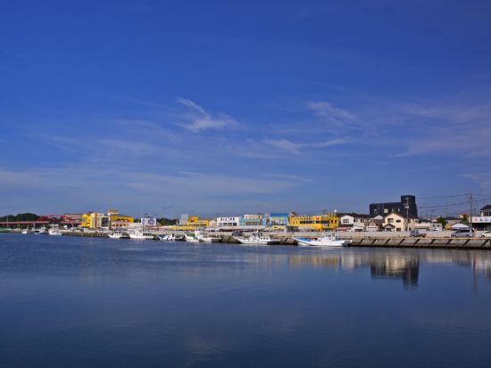 東京発バスツアー ひたち海浜公園で青い絨毯に包まれた絶景・ネモフィラ鑑賞＆ライトアップされた大藤棚を眺めるあしかがフラワーパーク花巡りプラン＜西船橋発着＞