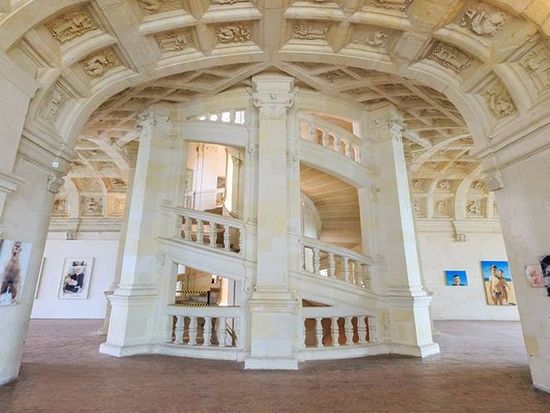 【1名から催行！】世界遺産ロワール渓谷の3つの古城めぐり シャンボール城＋シュノンソー城＋アンボワーズ城＜4月～10月のみワイン試飲付き／パリ発／英語ガイド＞　の写真5