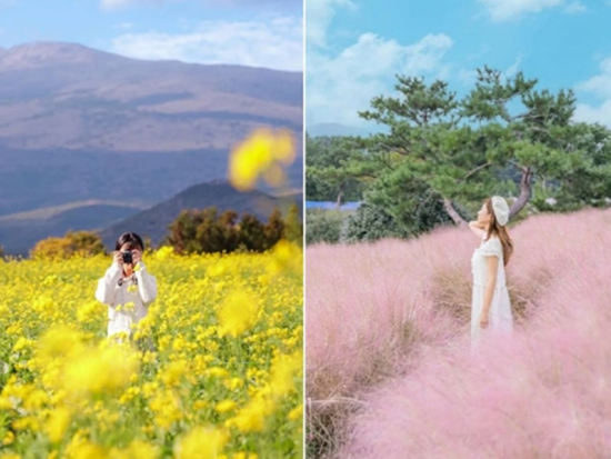 済州東部プレミアムリムジンバスツアー サリョニ森道＋休愛里＋ハーブガーデン＋城山日出峰など 済州東部の絶景スポットを巡る旅＜1名参加OK／1日／済州市出発＞