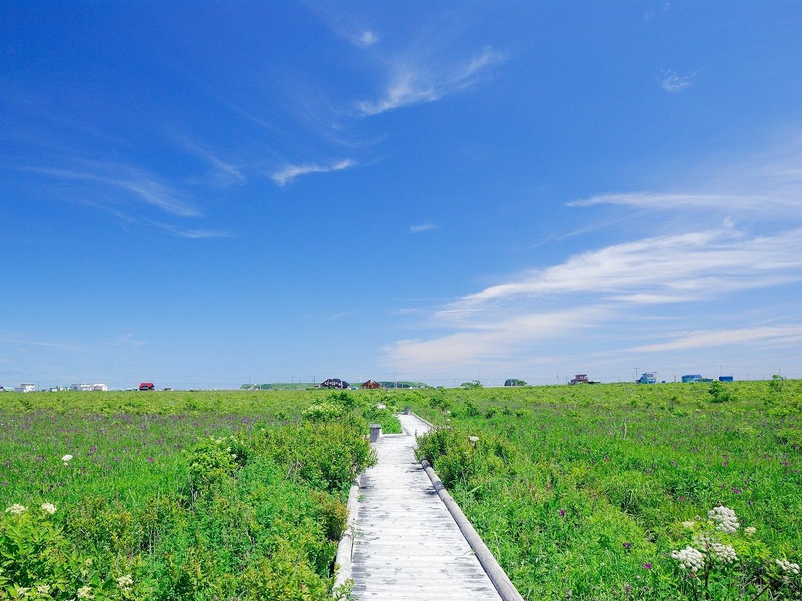 浜中ネイチャーツアー 北海道三大湿原の一つ
