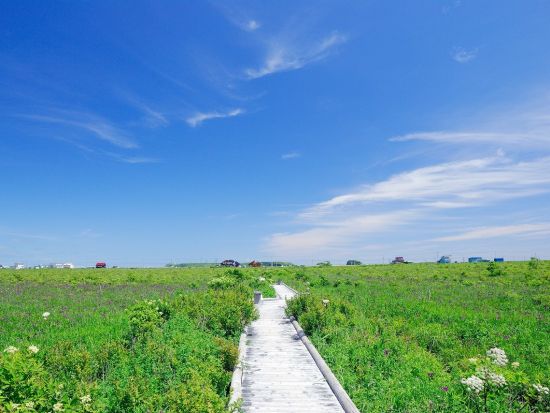 浜中ネイチャーツアー 北海道三大湿原の一つ"霧多布湿原"であなたの行きたいところ、見たいものに合わせてツアーを組み立てるオーダーメイドプラン＜2時間／浜中町＞