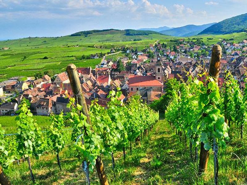 Vineyards & French countryside