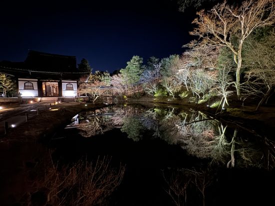 【高台寺＆圓徳院 春の夜間特別拝観】NHK大河ドラマ『豊臣兄弟』豊臣秀吉公ゆかりのお寺高台寺 ライトアップされた美しい桜鑑賞と京湯葉料理の夕食 高台寺掌美術館付