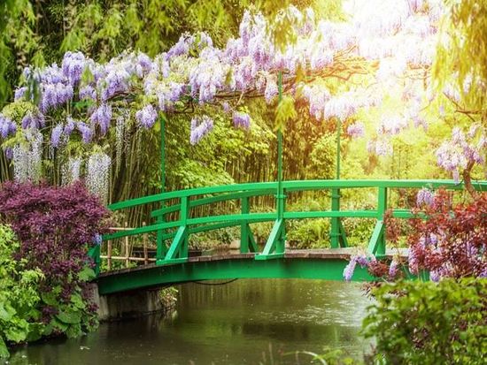 Monet’s Water Lilies