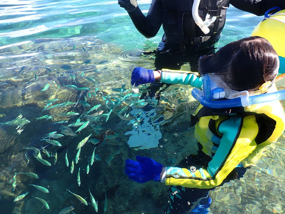 那覇・中南部 | 沖縄本島 旅行の観光・オプショナルツアー予約 VELTRA
