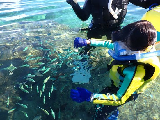シュノーケリング ウミガメやクマノミに出会える天然の水族館 プロガイドが案内するジョン万ビーチで海遊びを満喫＜約3時間／糸満＞