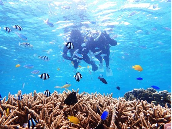 シュノーケリング ウミガメやクマノミに出会える天然の水族館 プロガイドが案内するジョン万ビーチで海遊びを満喫＜約3時間／糸満＞