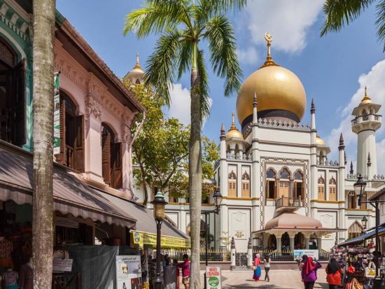 シンガポールウォーキングツアー マリーナベイサンズ＋クラークキー＋ヒルストリートなど インスタ映えスポットをめぐる旅＜選べる午前・午後／貸切プランあり＞