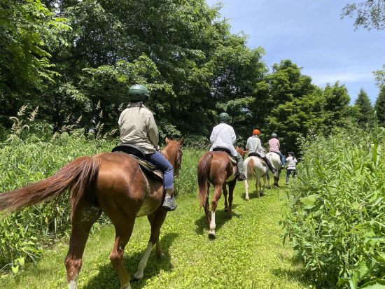 十勝でホーストレッキング 日高山脈の雄大な景観を楽しみながら、ポロシリ自然公園内を散策するプラン＜30分～60分／十勝＞