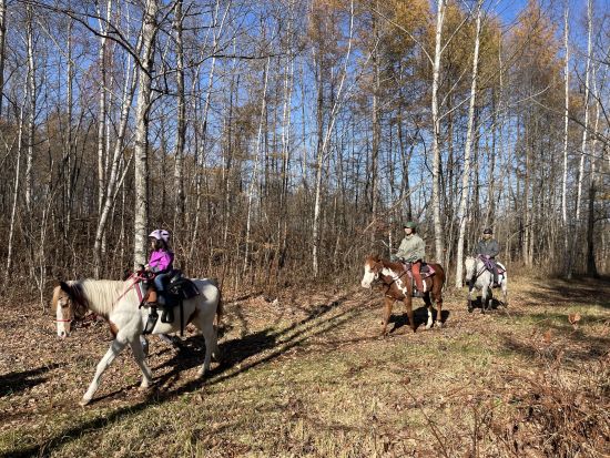 十勝でホーストレッキング 日高山脈の雄大な景観を楽しみながら、ポロシリ自然公園内を散策するプラン＜30分～60分／十勝＞