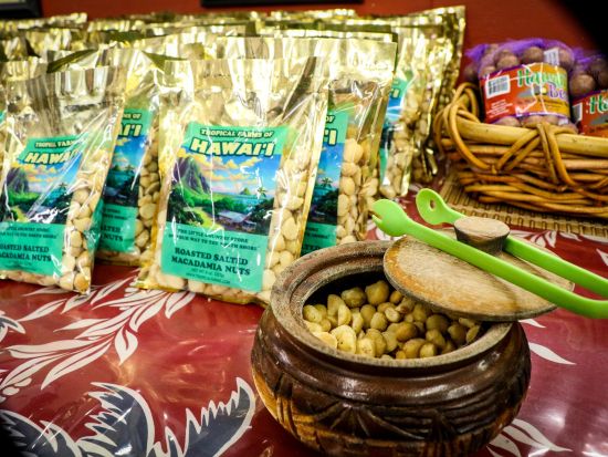 オアフ島1日観光　ハロナ潮吹き岩やトロピカルファーム、クアロア・リージョナルパーク人気スポットを巡る充実ツアー　ハレイワタウン散策付き＜1日／日本語＞