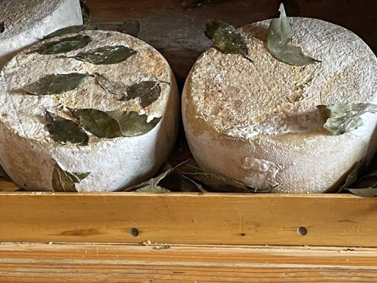 政府公認ガイドがご案内！トスカーナの絶景巡り　オルチャ渓谷と歴史的な4つの村訪問＜貸切／日本語ガイド／フィレンツェ発＞