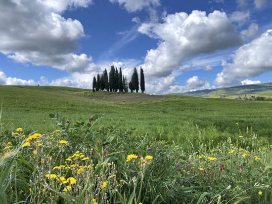 政府公認ガイドがご案内！トスカーナの絶景巡り　オルチャ渓谷と歴史的な4つの村訪問＜貸切／日本語ガイド／フィレンツェ発＞