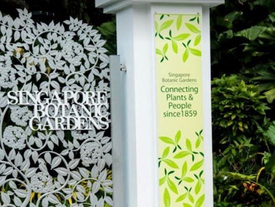 シンガポールウォーキングツアー チャイナタウン＋ボタニックガーデン＋マックスウェルフードセンター 歴史と文化に触れる旅＜選べる午前・午後／貸切プランあり＞