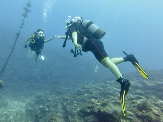 ジンベイザメ体験ダイビング ライセンスなしでOK！乗船料込◎ジンベイザメと一緒に泳げる感動体験＜読谷村発＞