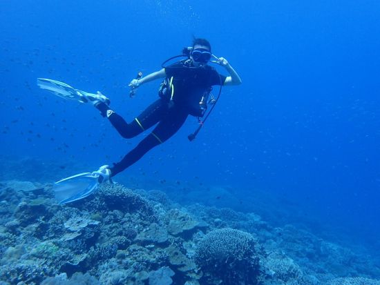 ファンダイビング　初心者から上級者まで楽しめるスポットあり！透明度抜群の海で非日常的な体験を楽しむコース＜2ダイブ／最大4名／読谷村発＞