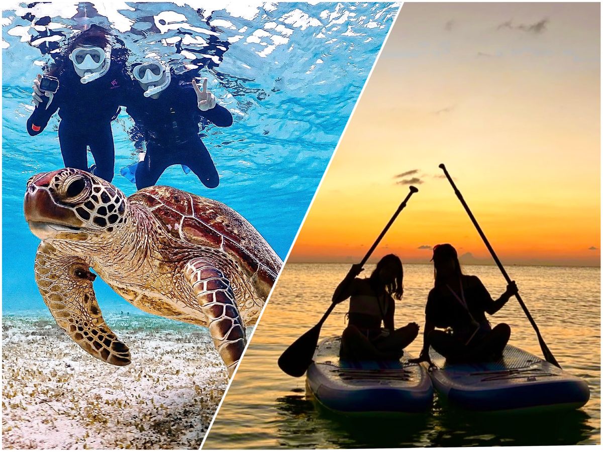 ウミガメシュノーケリング＋サンセットSUPツアー 昼夕で変わる海の表情