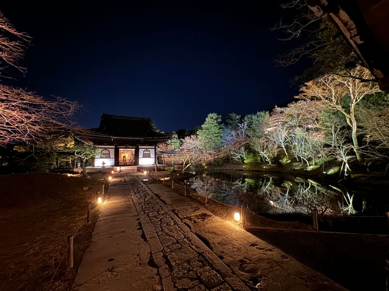 550ED266-F5F1-410B-959F-2A7B8E2858C6-L0-001