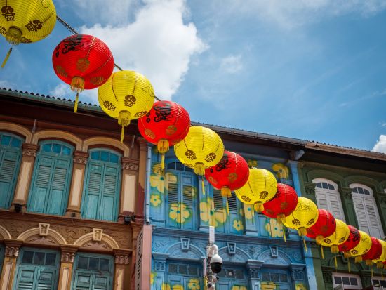 チャイナタウンウォーキングツアー スリ・マリアマン寺院＋マックスウェルフードセンターなど 歴史的名所を散策＜選べる午前・午後／貸切プランあり＞