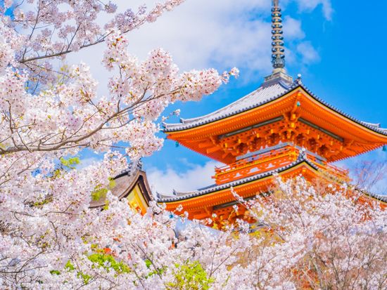 Japan_Kyoto_Kiyomizu dera_PIXTA_71745912