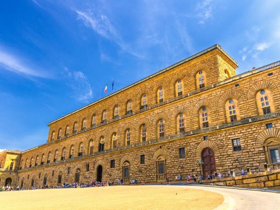 世界遺産ピッティ宮殿 入場チケット事前予約＜ボーボリ庭園＋バルディーニ庭園入場付きプランあり＞＊申込と同時に即予約確定