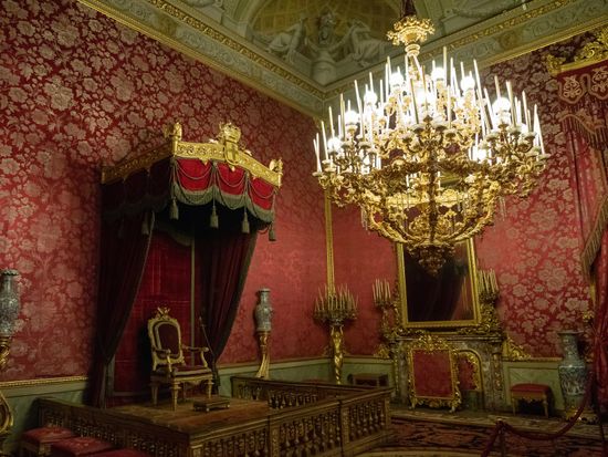 Italy_Florence_Pitti Palace_pixta_74138731_M