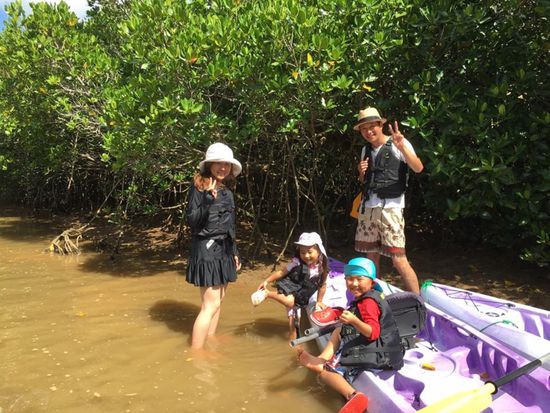 マングローブ上陸