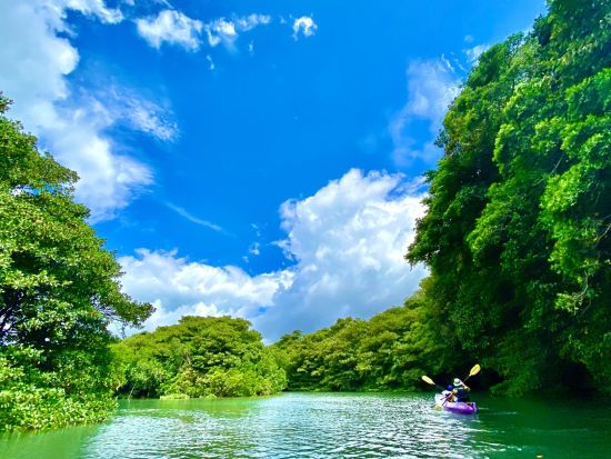 貸切マングローブカヤック プライベートな時間を楽しめる！石垣島の大自然をとことん満喫プラン 写真データ無料プレゼント付◎＜石垣島／約2時間＞