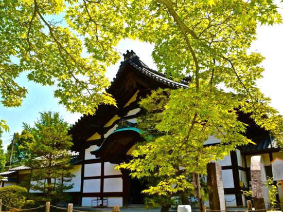 【国指定史跡　隨心院　貸切体験】小野小町や皇室ゆかりの門跡寺院　客殿を貸切で精進料理に舌鼓＋境内自由拝観＋写経体験も可能＜約2時間／山科区小野御霊町＞