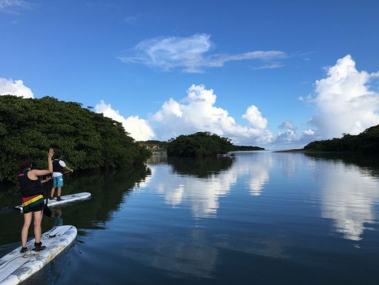 貸切マングローブSUP 石垣島の大自然を水面散歩！SUPでしか見れない景色を見よう 1名様から参加OK◎＜石垣島／約2時間／送迎可＞