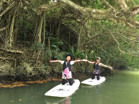 貸切マングローブSUP 石垣島の大自然を水面散歩！SUPでしか見れない景色を見よう 1名様から参加OK◎＜石垣島／約2時間／送迎可＞