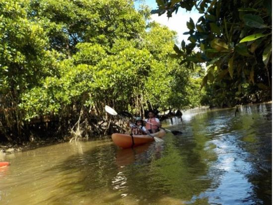 沖縄県カヤック・カヌー協会公認ガイドと億首川マングローブ→海→ローカルビーチ上陸！3歳～シニアOK、初心者も2回目も◎ネイチャーツアー♪GoPro無料撮影付