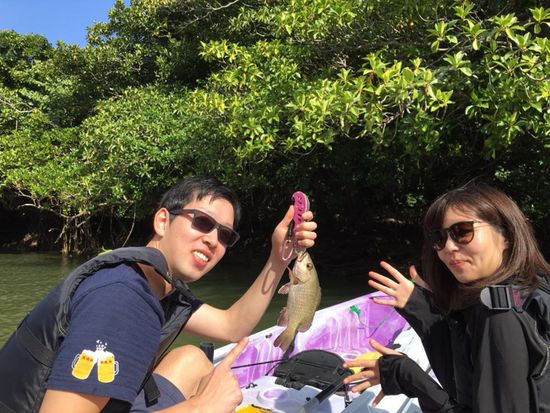 26166728_891699517678202_7545689048290741985_n