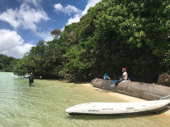 貸切！川平湾シーカヤック体験 ミシュラン3つ星の絶景を満喫！透明な海と緑豊かな景色を楽しもう♪＜石垣島／約2時間半＞