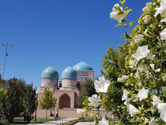 世界遺産シャフリサーブス日帰りツアー　アクサライ宮殿＋ドルティラヴァト建築群＋ドルッサオダット建築群 ＜貸切／日本語ガイド／昼食付き／サマルカンド発着＞