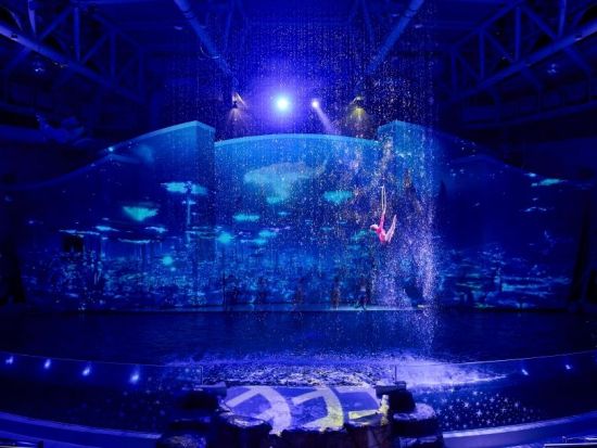 済州島　アクアプラネット済州　割引入場チケット　事前予約サービス