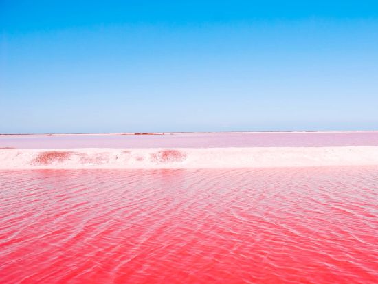 メキシコ周遊6泊7日ツアー　メキシコシティ＋グアナファト＋カンクン　7つの世界遺産を巡る＜日本語＆英語ガイド／メキシコシティ発着＞